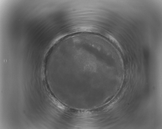 X0000068771019200605051626