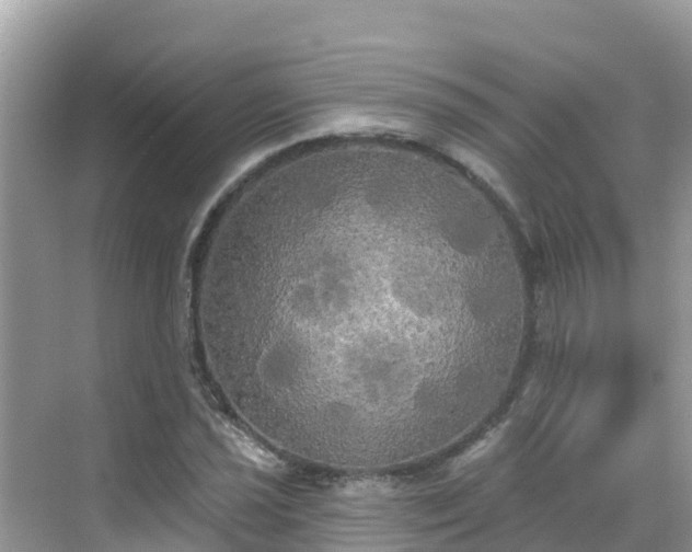 X0000068771021200605051626