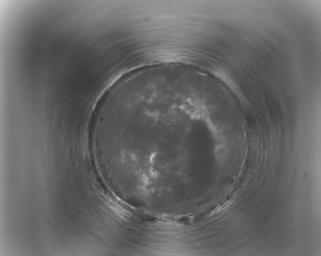 X0000068771023200605051626