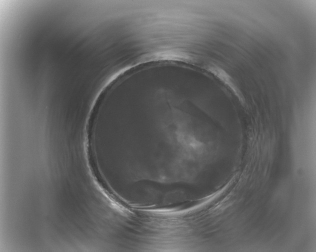 X0000068771024200605051626