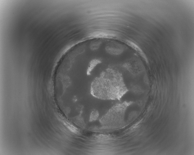 X0000068771027200605051626