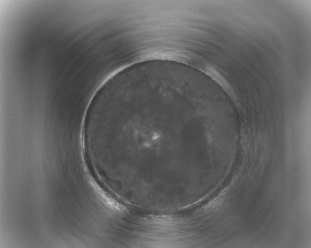 X0000068771028200605051626