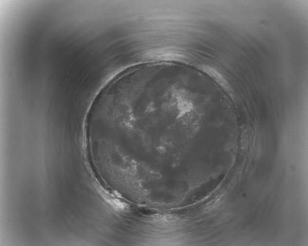 X0000068771031200605051626