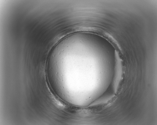 X0000068771033200605051626