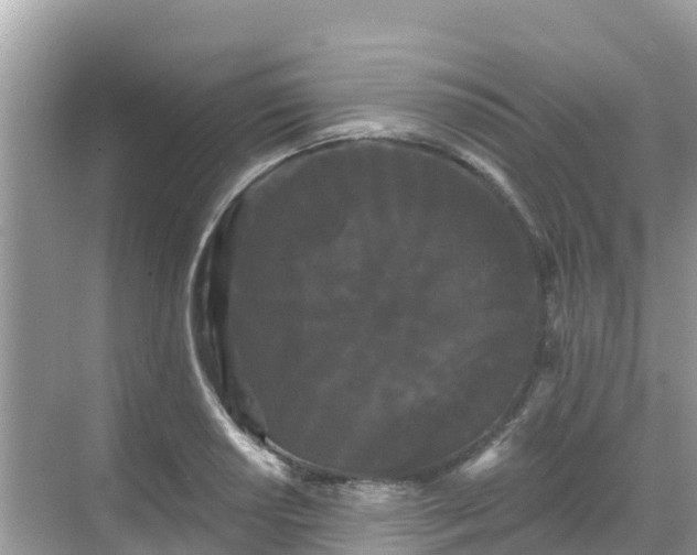 X0000068771034200605051626