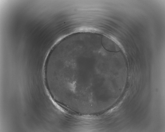 X0000068771037200605051626