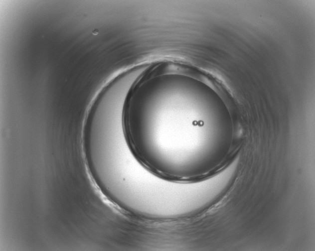 X0000068771038200605051626