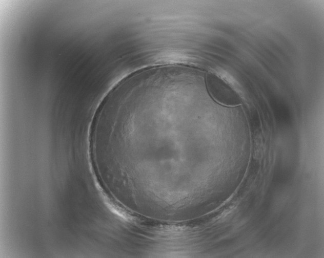 X0000068771039200605051626