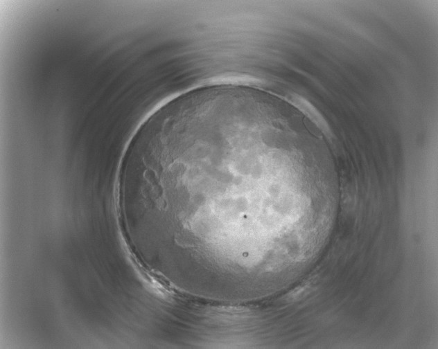 X0000068771044200605051626