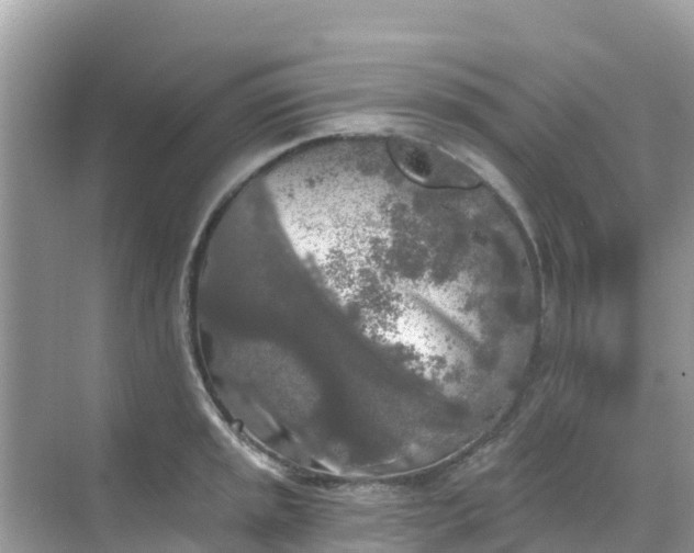 X0000068771045200605051626