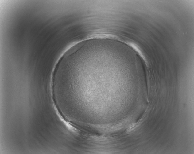 X0000068771046200605051626