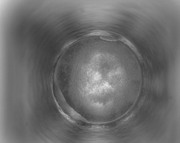 X0000068771049200605051626