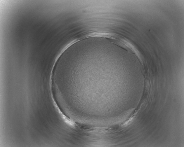 X0000068771050200605051626