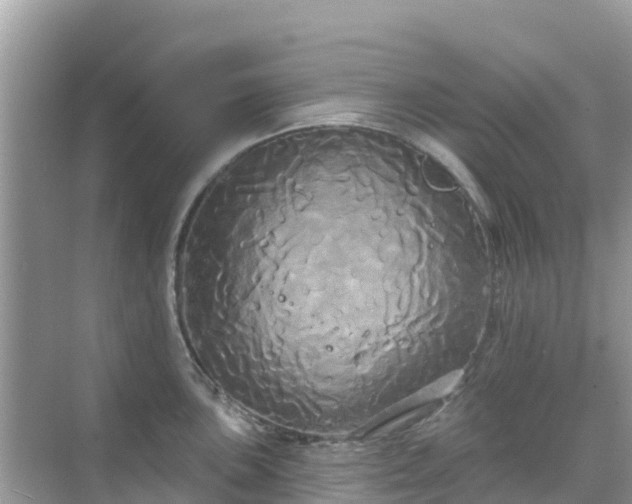 X0000068771051200605051626