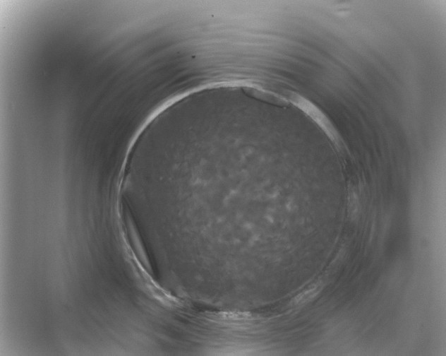 X0000068771052200605051627