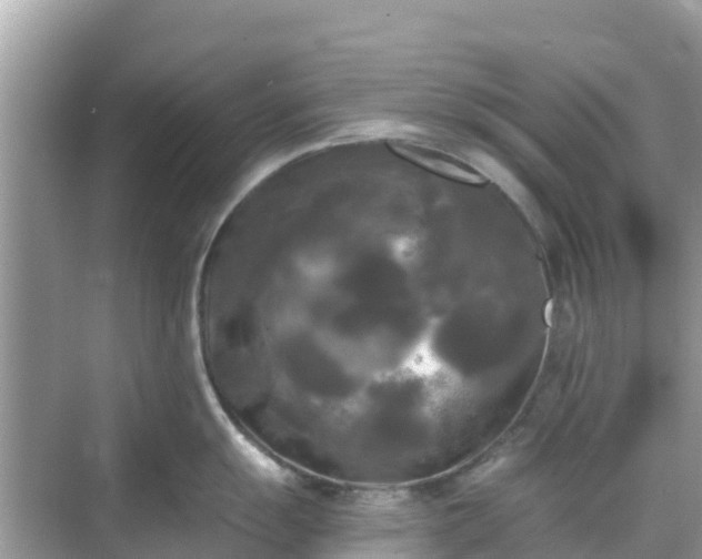 X0000068771055200605051627