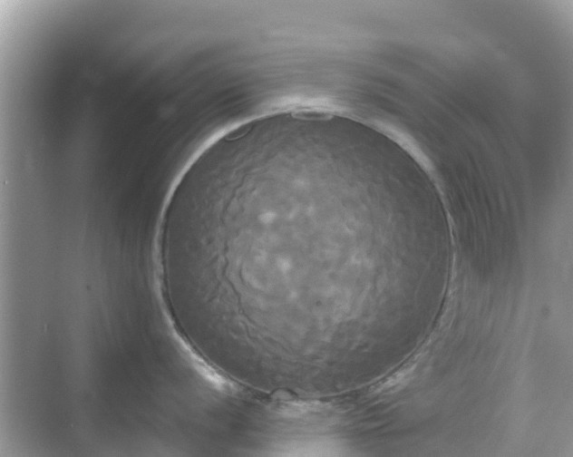 X0000068771056200605051627