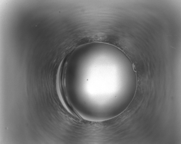 X0000068771058200605051626