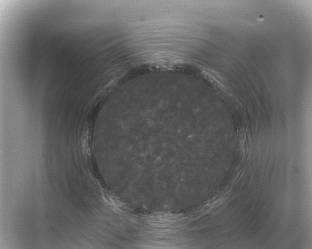 X0000068771060200605051626