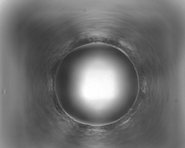 X0000068771061200605051626