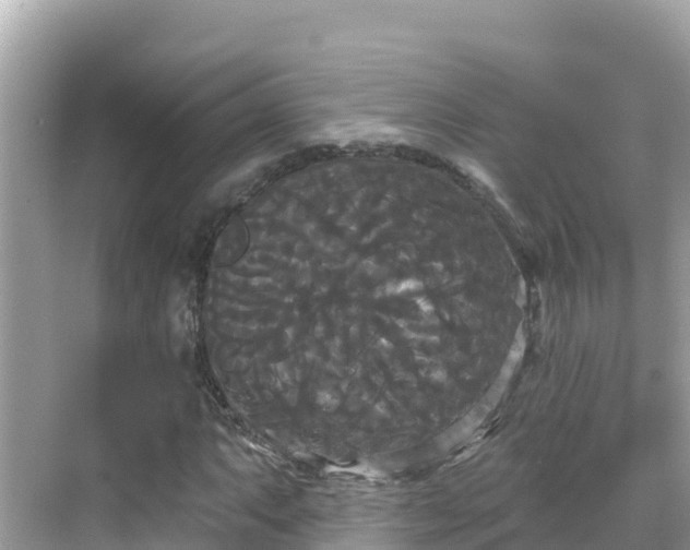 X0000068771063200605051626