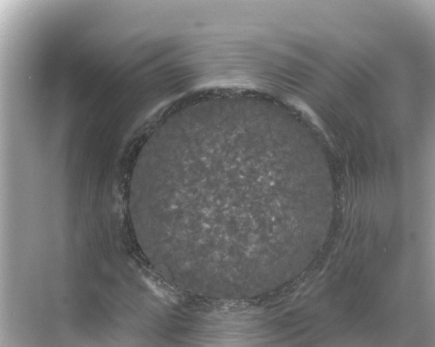 X0000068771064200605051626