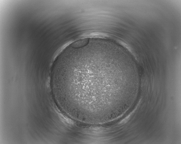 X0000068771066200605051626