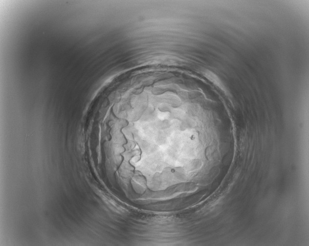 X0000068771067200605051626