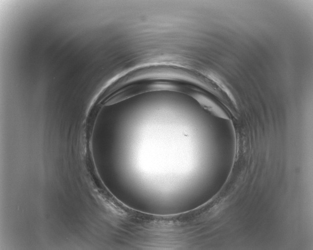 X0000068771069200605051626