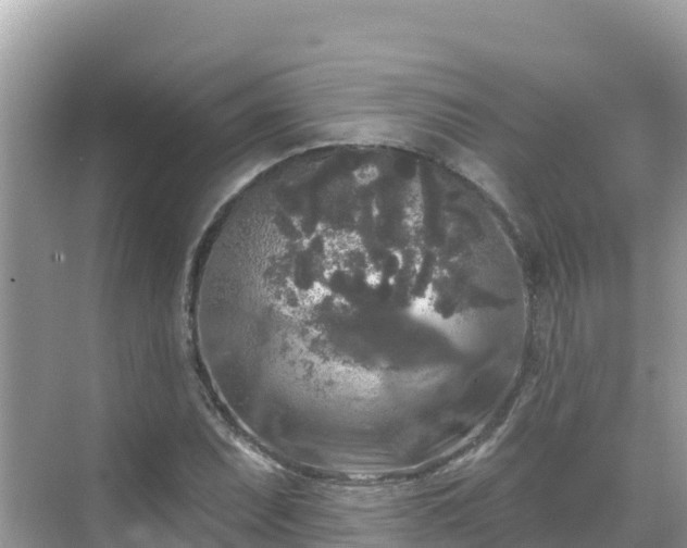 X0000068771071200605051626