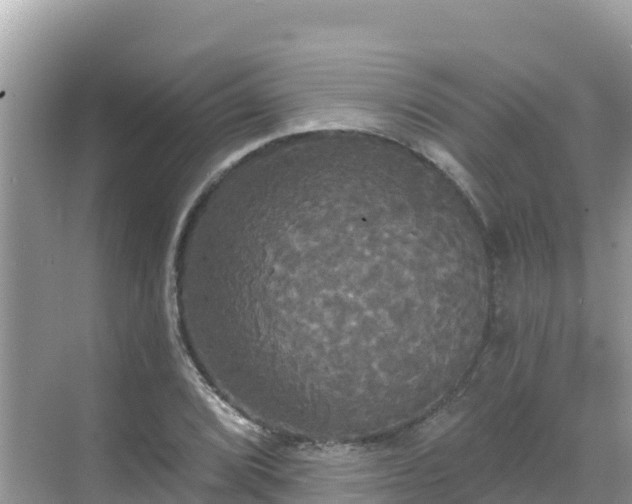 X0000068771072200605051626