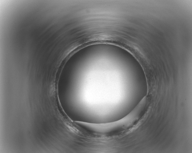 X0000068771073200605051626