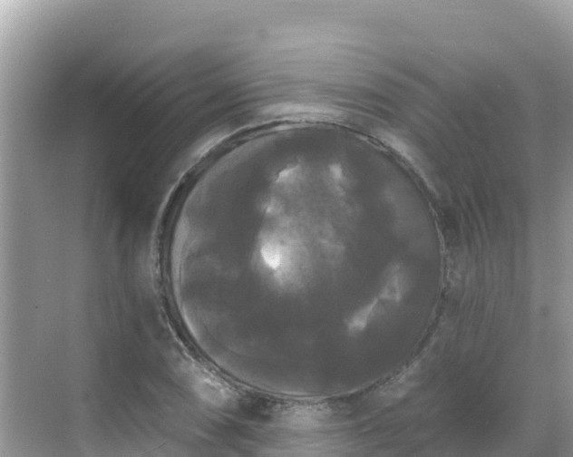 X0000068771074200605051625