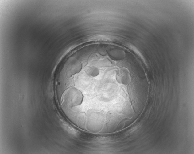 X0000068771075200605051625