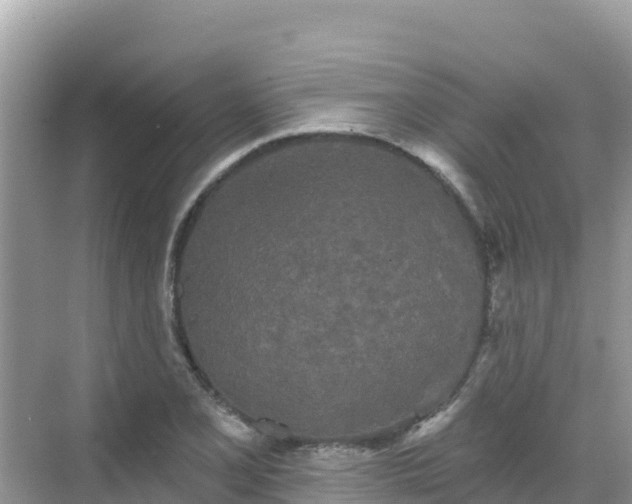 X0000068771077200605051625