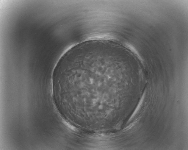 X0000068771079200605051625