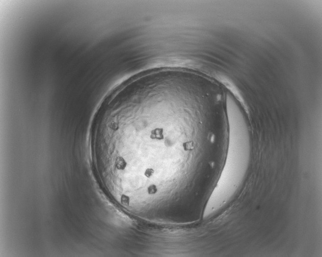 X0000068771080200605051625