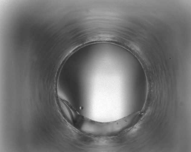 X0000068771081200605051625