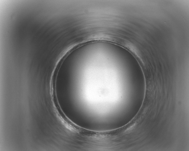 X0000068771082200605051625