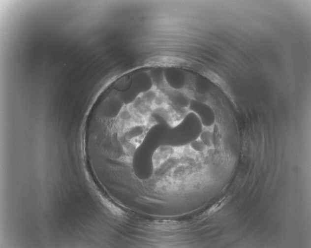 X0000068771083200605051625