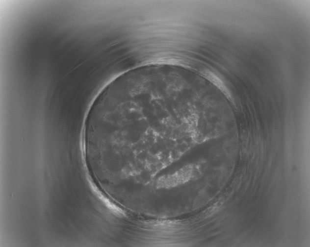 X0000068771084200605051625