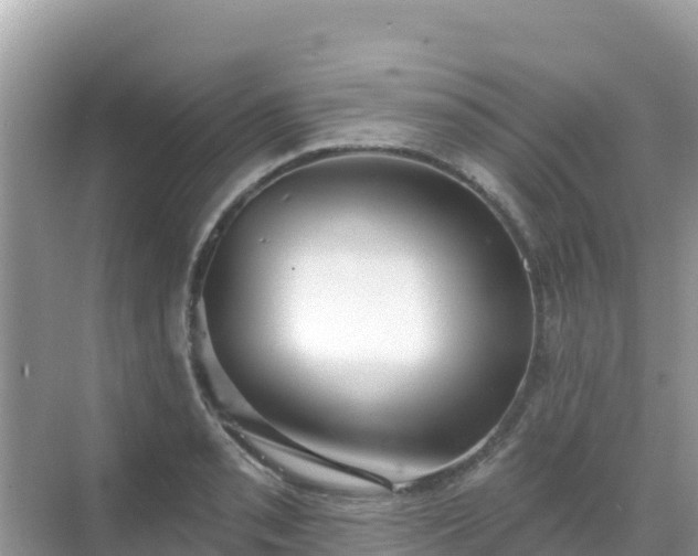 X0000068771085200605051625