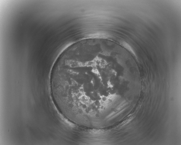 X0000068771087200605051625