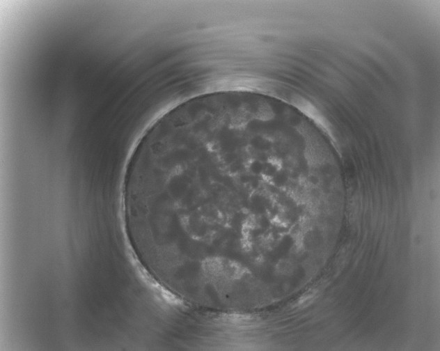 X0000068771088200605051625