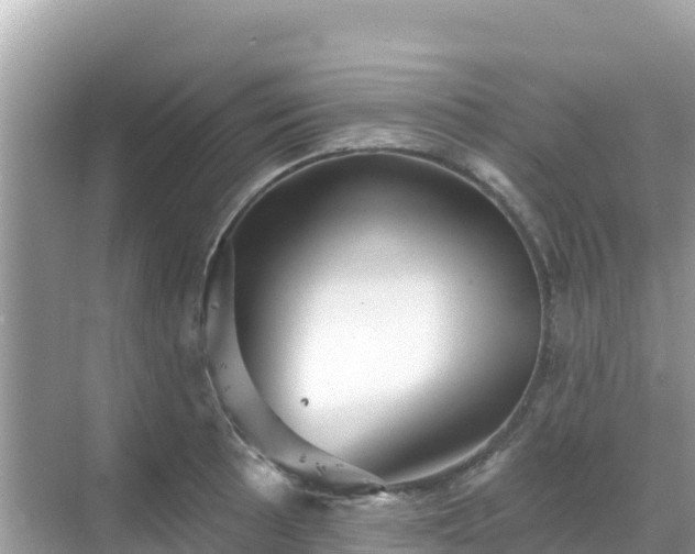 X0000068771089200605051625