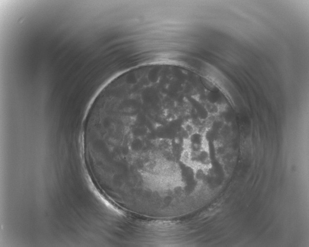 X0000068771092200605051625