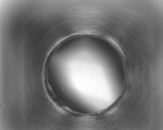 X0000068771093200605051625