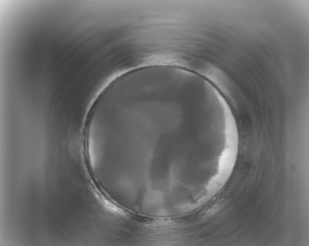 X0000068771094200605051625