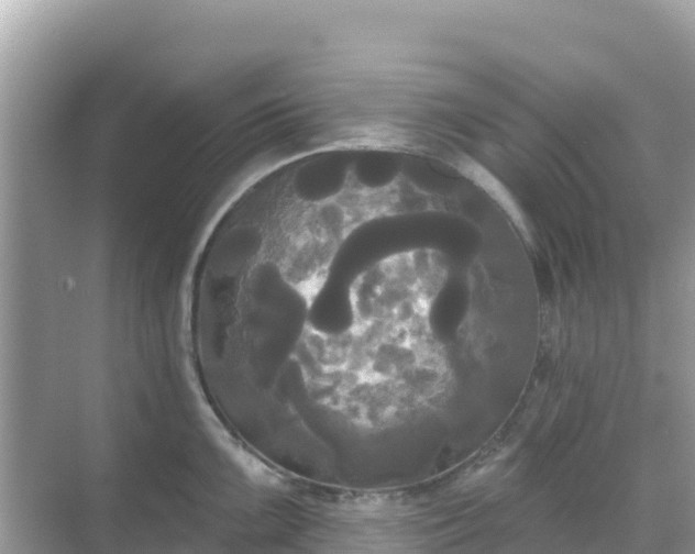 X0000068771099200605051625