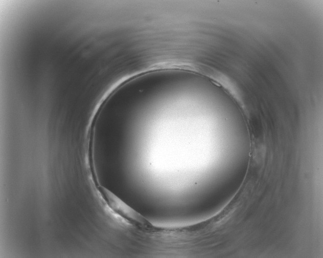 X0000068771102200605051625